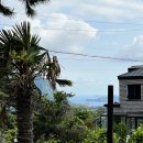 규리네밤하늘 이미지