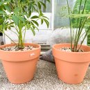 참조은생활마트 이미지