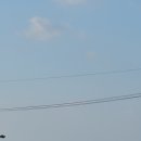 오랜제주 선화집 이미지