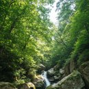 소금강마을 | 2025년 강원도 여름 계곡 BEST 5! 무릉·흥정·홍천·소금강 계곡 추천