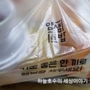 얌샘김밥좌동