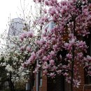 미래와 희망의 공인중개사사무소 이미지