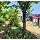 제주마중 협재 이미지