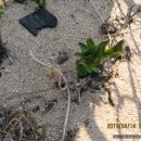 동훈농장 이미지