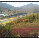 상교농장 이미지