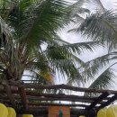 녹스레스토랑 이미지