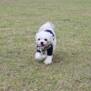 애프터눈가든 이미지