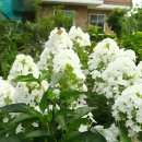 대주2농장 이미지