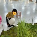 가족이 함께 떠나는 숲체험 & 놀이 - 애벌레 숲 놀이터 | 겨울철 아이랑 실내 놀이터 체험공간 용인 상상의 숲