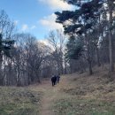 용산-435 이미지