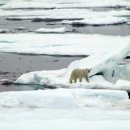 에스아이산업 | 四字成語 총정리 <ㄱ> 1070 극난재집~극도피로