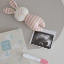 제경약국 | 임신테스트기 사용시기 얼리 임테기 정확도 및 사용법