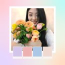 대전 퍼스널컬러 컬러블리 후기!(2탄) 이미지 컨설팅 및 체형분석!