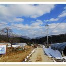 경춘농장 이미지