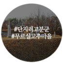 무르실 고추마을 이미지