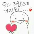 숲속의사랑별 이미지