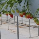 귀천농장 이미지