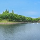 여수공원로 이미지