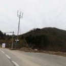 재신농장 Daum카페