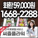 현대재활용상사 | 용인 결혼식장 화환 배달 서비스, 씨즐플라워