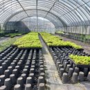 두곡경로당 이미지