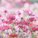 하나농산물 - 중랑구 봉우재로13길 16 | 하나농산물