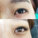 오래쉬(OLASH)
