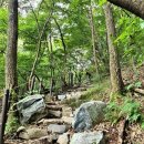 오서산자연휴양림 이미지