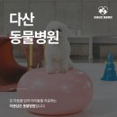 다산동물병원 이미지