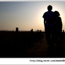 월드컵경기장역(6) 이미지