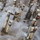 순천중앙초등학교 이미지