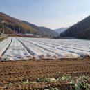 괴산군농업기술센터 이미지