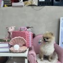 뚜드림 이미지