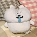 삶을 다시 사랑하는 일은 그때마다 길고 복잡한 과정을 필요로 했다.