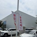 [유니클로]유니클로 감사제 세일기간 5.29~6.4 유니클로추천템 인기캐릭터총집합 유니클로 프릴컨셉...