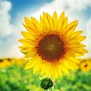 봄날애의원 이미지