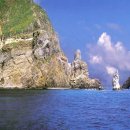 장미무도장 이미지