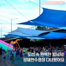 달빛하우스매점 | 도심 속 완벽한 피서지! 양재천 수영장 방문 후기