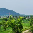 땀범벅놀이터 이미지