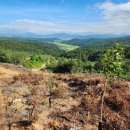 구천농장 이미지