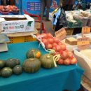 춘천풍물시장 이미지