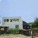 짱가네농장 이미지