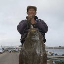 괴정4동-12 이미지