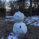 아삭아삭순무민박 이미지