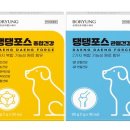 댕댕케어 이미지