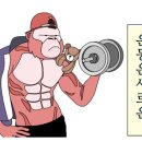메콩짐옥동점