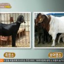 남철농장 티스토리