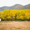 도리보건진료소 이미지