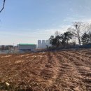 본토공인중개사사무소 이미지