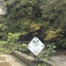 내촌애견 | 강원도 홍천 뷰좋은 캠핑장 추천, 알지캠프266 데크1 후기